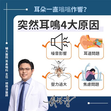 右耳鳴|耳鳴怎麼辦？耳鼻喉科醫師解析原因、治療、解決方法